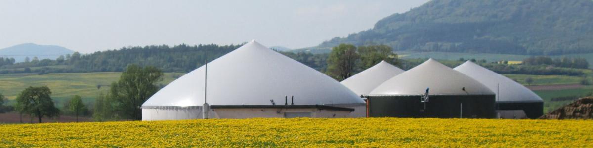Nesemeier GmbH cover